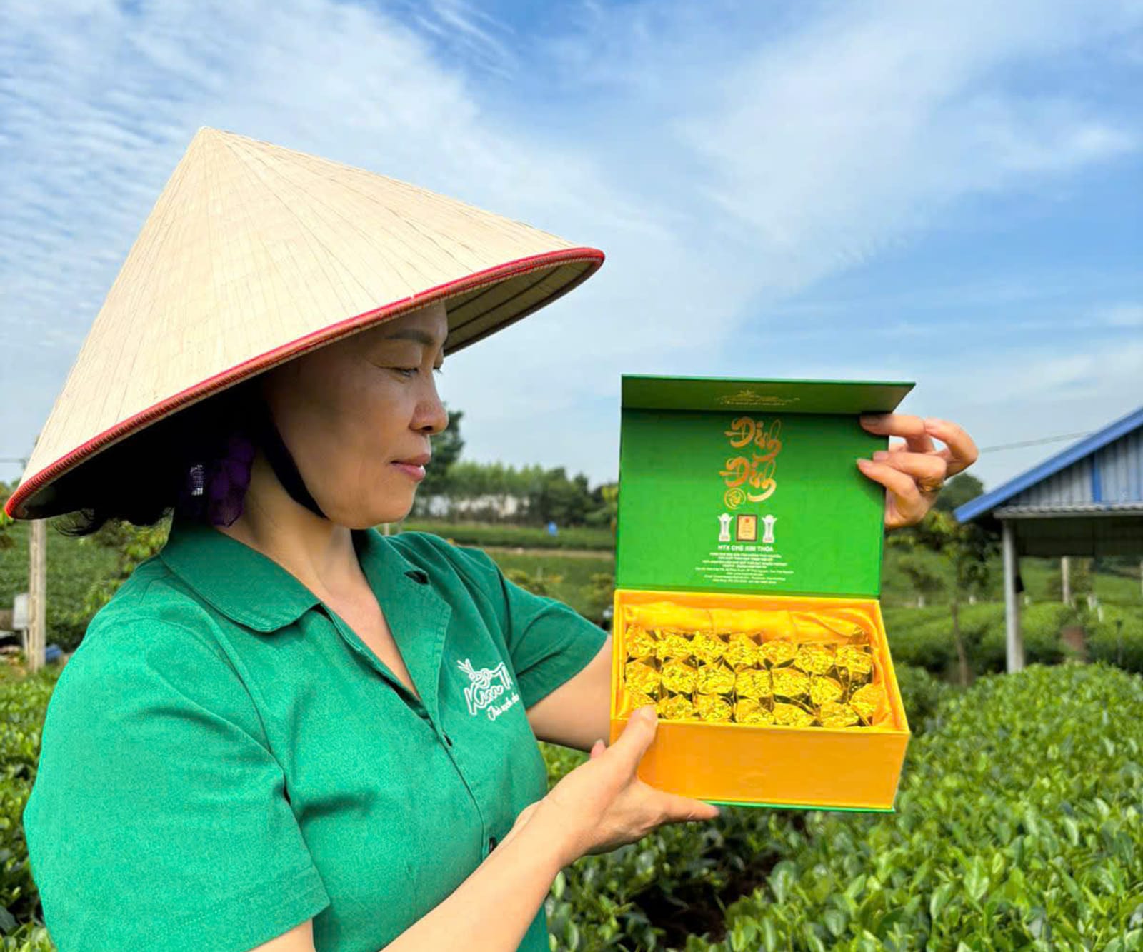 Cô Kim Thoa cầm hộp quà trà của hợp tác xã giữa đồi chè