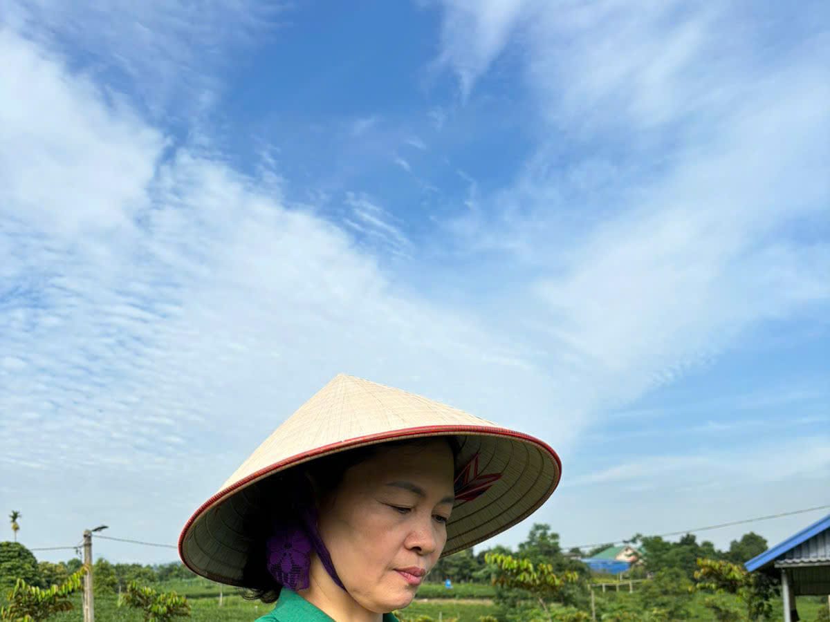 Người hái chè trên đồi chè Tân Cương, Thái Nguyên